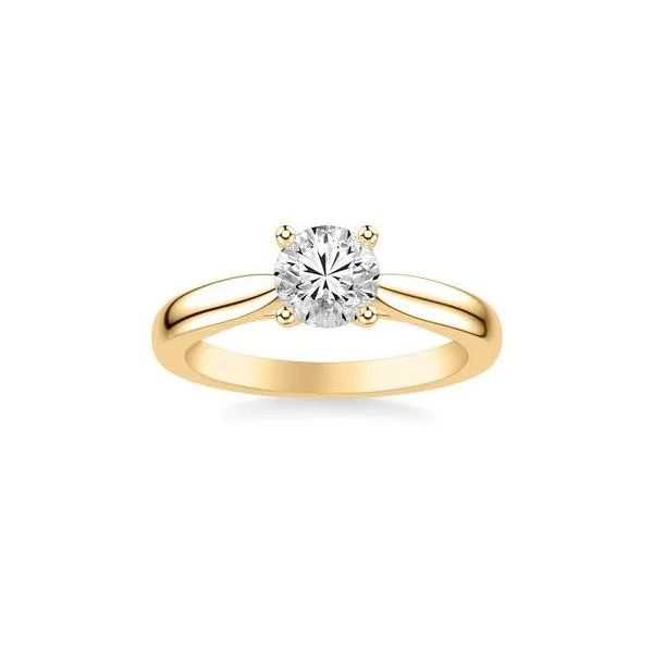 Engagement Ring Setting Miner's Den Jewelers Royal Oak, MI
