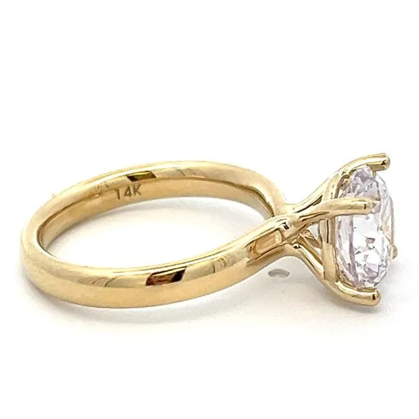 Engagement Ring Setting Image 2 Miner's Den Jewelers Royal Oak, MI