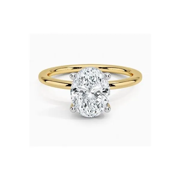 Engagement Ring Setting Miner's Den Jewelers Royal Oak, MI