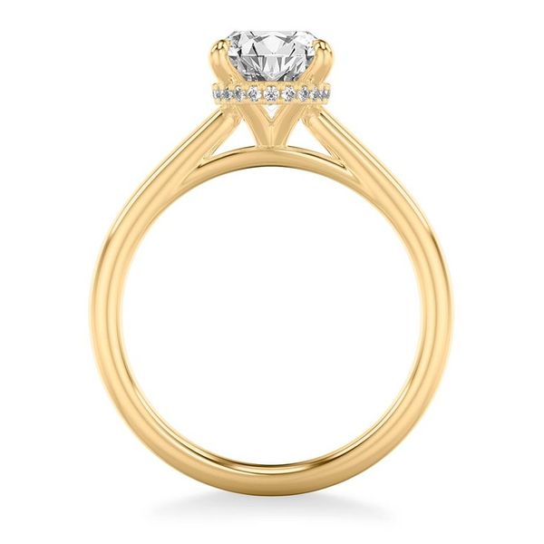 Hidden Halo Diamond Engagement Ring Image 3 Miner's Den Jewelers Royal Oak, MI