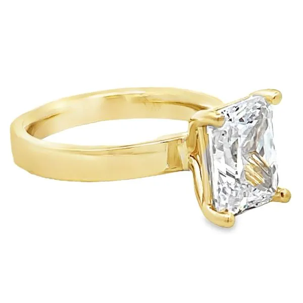 Engagement Ring Setting Image 2 Miner's Den Jewelers Royal Oak, MI