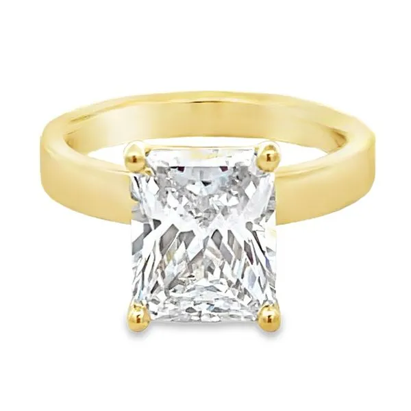 Engagement Ring Setting Miner's Den Jewelers Royal Oak, MI