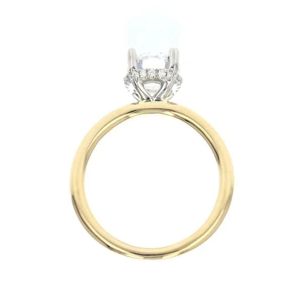 Engagement Ring Setting Image 2 Miner's Den Jewelers Royal Oak, MI