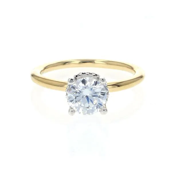 Engagement Ring Setting Miner's Den Jewelers Royal Oak, MI