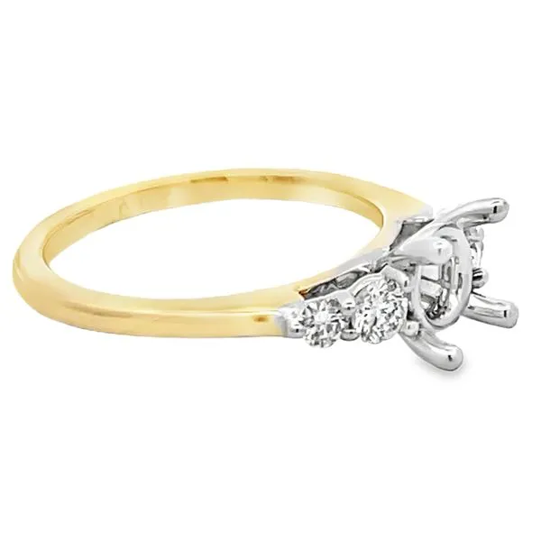 Engagement Ring Setting Image 2 Miner's Den Jewelers Royal Oak, MI