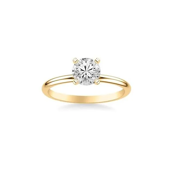Engagement Ring Setting Miner's Den Jewelers Royal Oak, MI