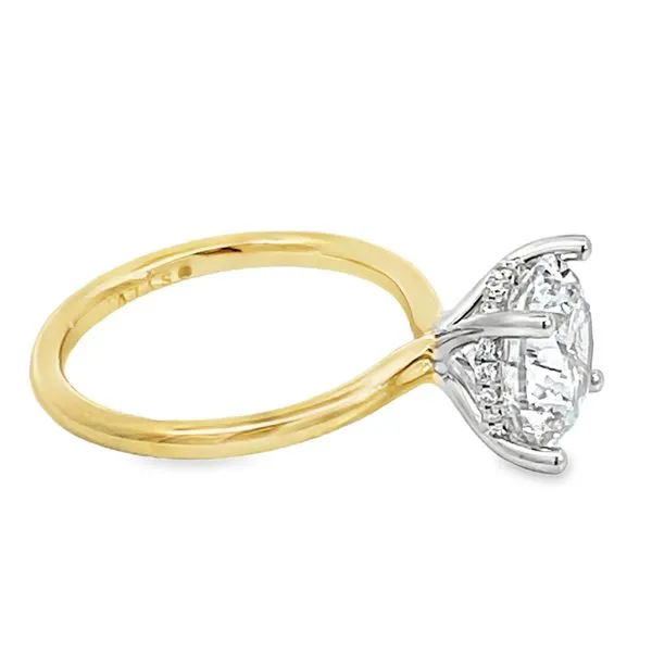 Engagement Ring Setting