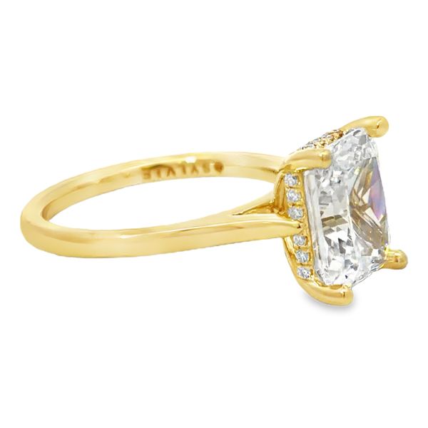 Engagement Ring Setting Image 2 Miner's Den Jewelers Royal Oak, MI