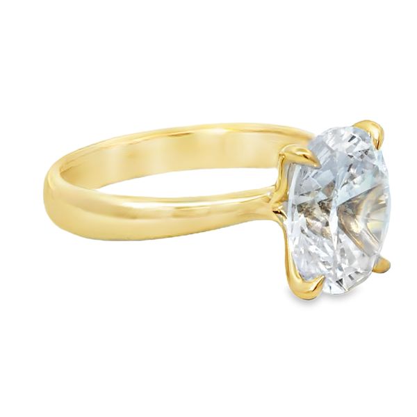 Engagement Ring Setting Image 2 Miner's Den Jewelers Royal Oak, MI