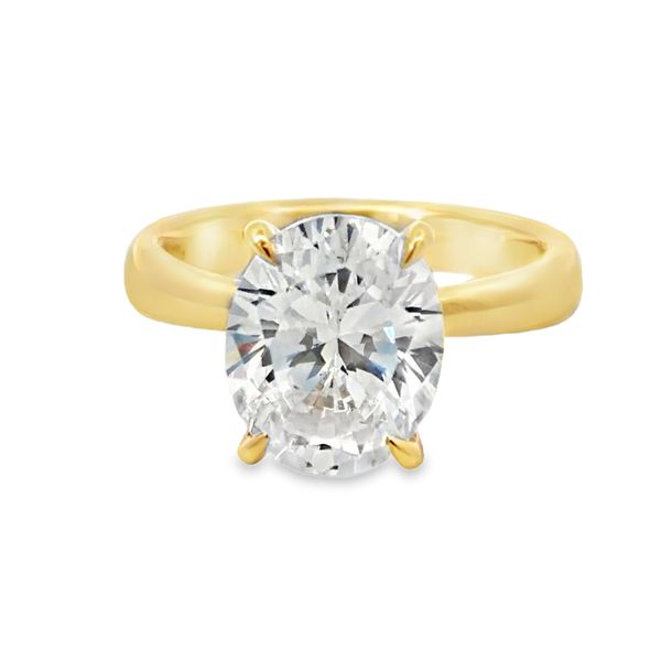 Engagement Ring Setting Miner's Den Jewelers Royal Oak, MI
