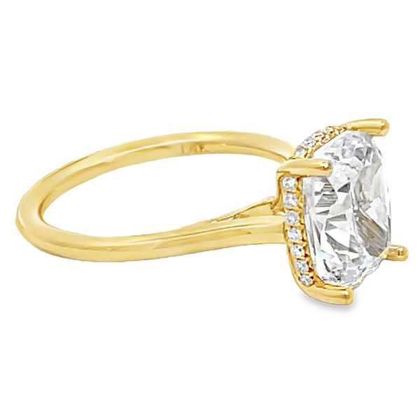 Engagement Ring Setting Image 2 Miner's Den Jewelers Royal Oak, MI