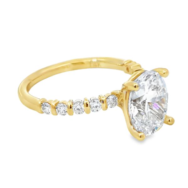 Engagement Ring Setting Image 2 Miner's Den Jewelers Royal Oak, MI