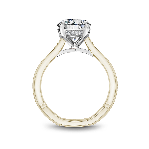 Engagement Ring Setting Image 2 Miner's Den Jewelers Royal Oak, MI