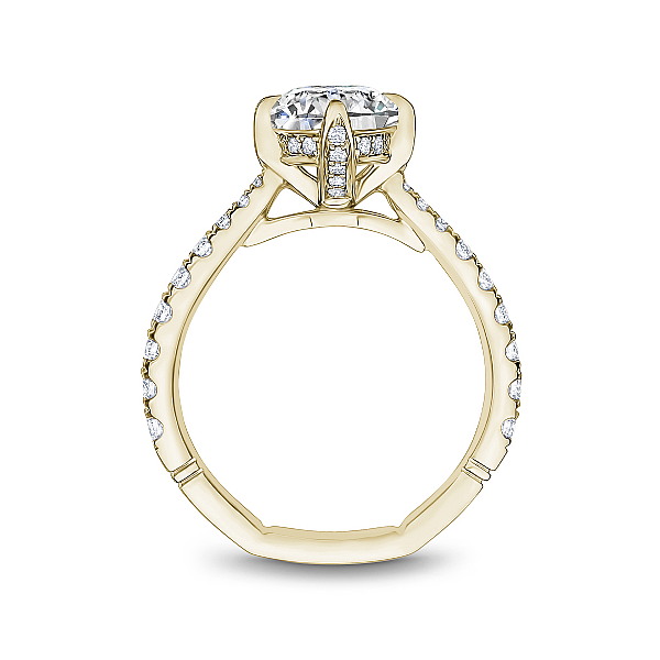 Engagement Ring Setting Image 2 Miner's Den Jewelers Royal Oak, MI