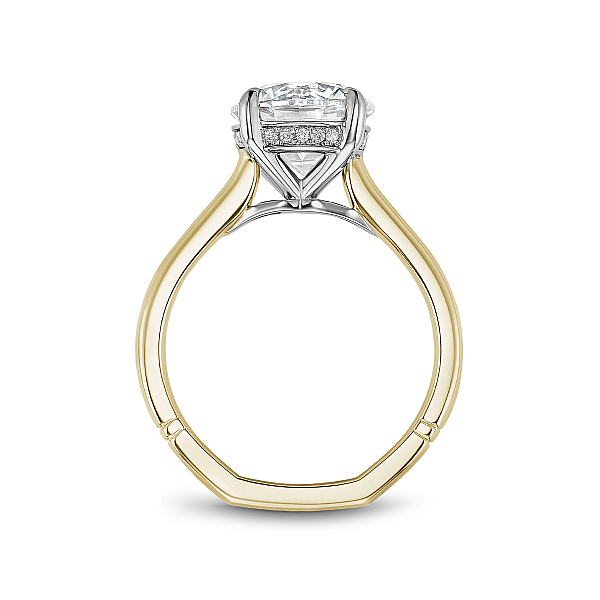 Engagement Ring Setting Image 2 Miner's Den Jewelers Royal Oak, MI