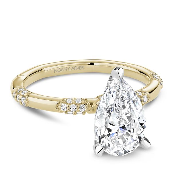 Engagement Ring Setting Miner's Den Jewelers Royal Oak, MI