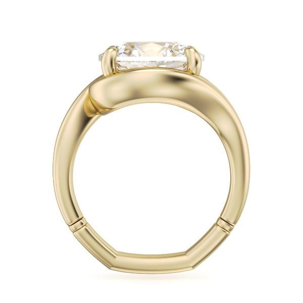 Engagement Ring Setting Image 2 Miner's Den Jewelers Royal Oak, MI