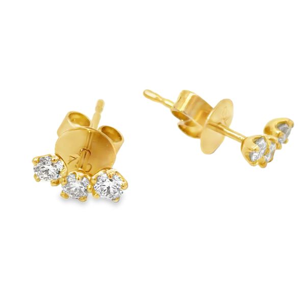 Diamond Earrings Miner's Den Jewelers Royal Oak, MI