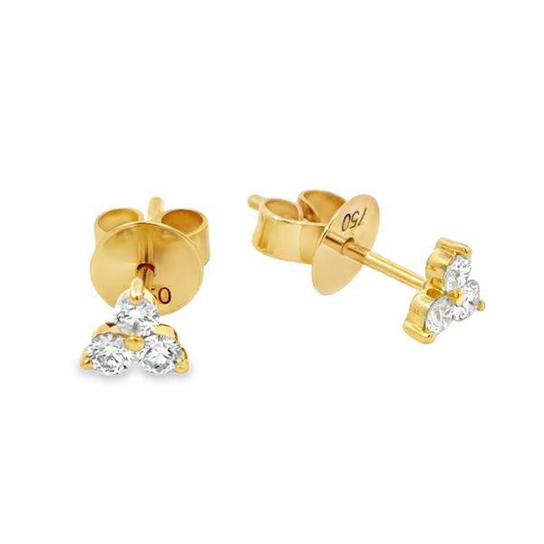 Diamond Earrings Miner's Den Jewelers Royal Oak, MI