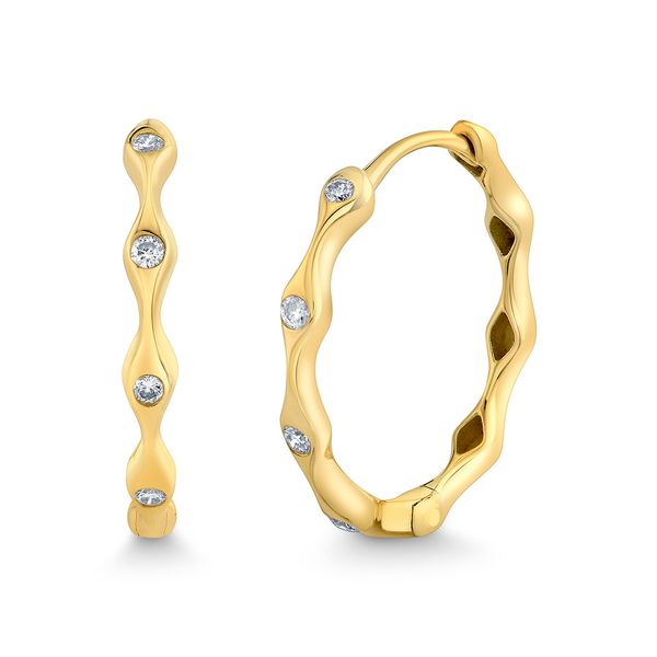 Diamond Earrings Miner's Den Jewelers Royal Oak, MI