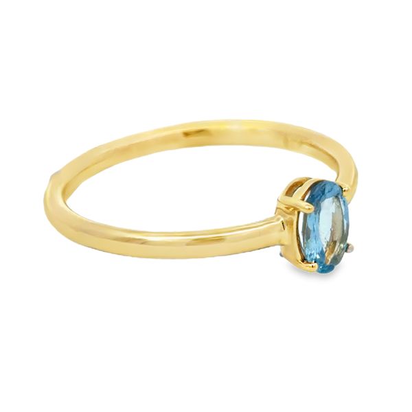 Colored Gemstone Ring Image 2 Miner's Den Jewelers Royal Oak, MI