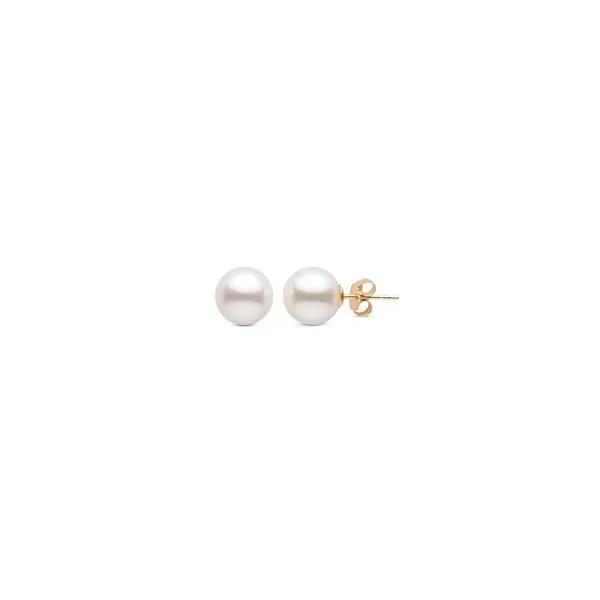6mm Pearl Studs | 14K Yellow Gold