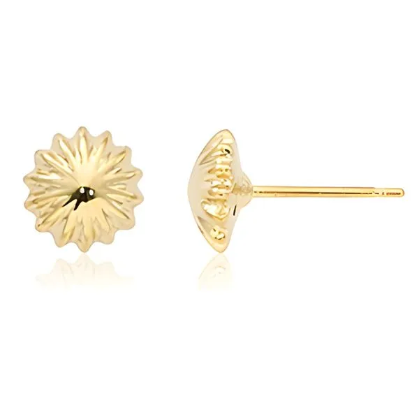 Button type sale earrings