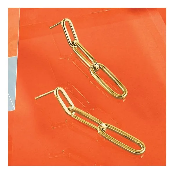 Paperclip Link Post Dangle Earrings Image 5 Miner's Den Jewelers Royal Oak, MI