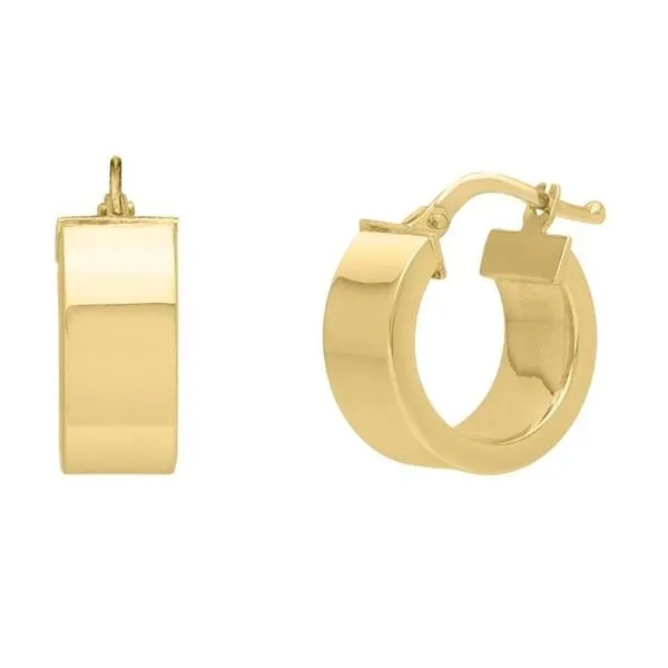 Small Gold Hoops