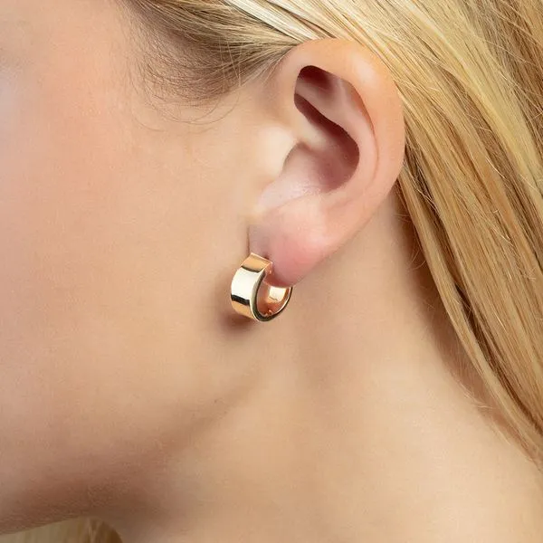 Small Gold Hoops