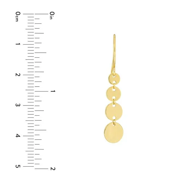 Graduated Disc Dangle Earrings