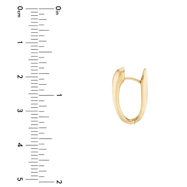 Tapered Oval Hoop Earrings