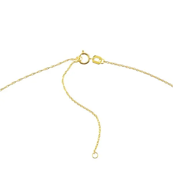 SoYou Mini Interlocked Hearts Adjustable Necklace Image 5 Miner's Den Jewelers Royal Oak, MI