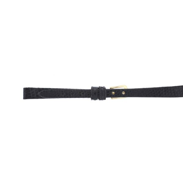 Watch Band Miner's Den Jewelers Royal Oak, MI