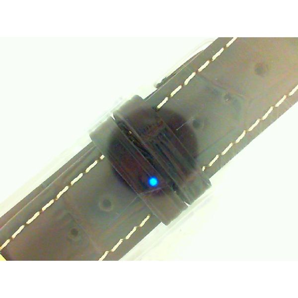 Watch Band Miner's Den Jewelers Royal Oak, MI