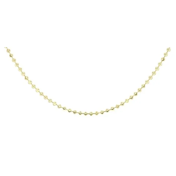 Silver Chain