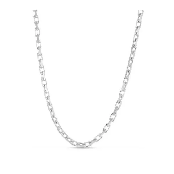 Silver Chain