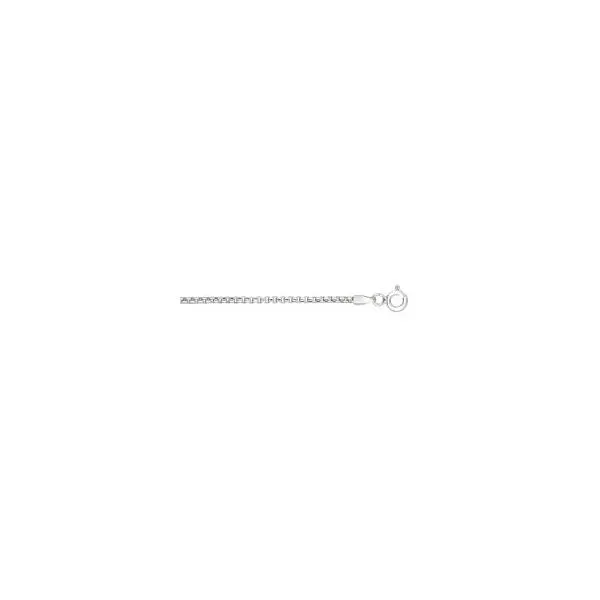 Silver Chain