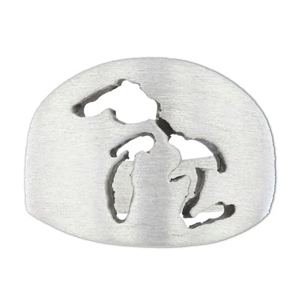 Silver Ring similar item image