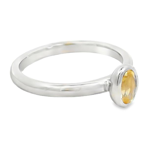 Silver Gemstone Ring Image 2 Miner's Den Jewelers Royal Oak, MI