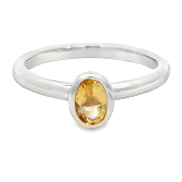 Silver Gemstone Ring Miner's Den Jewelers Royal Oak, MI