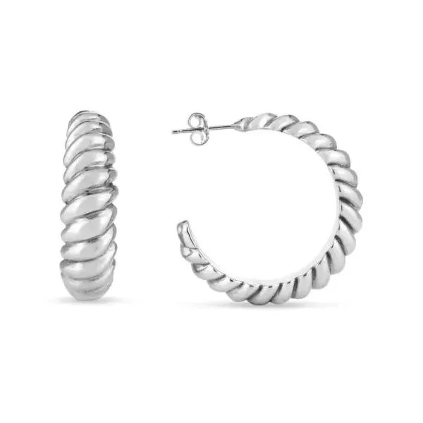 Silver Earrings similar item image