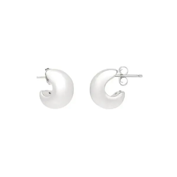 Silver Earrings similar item image