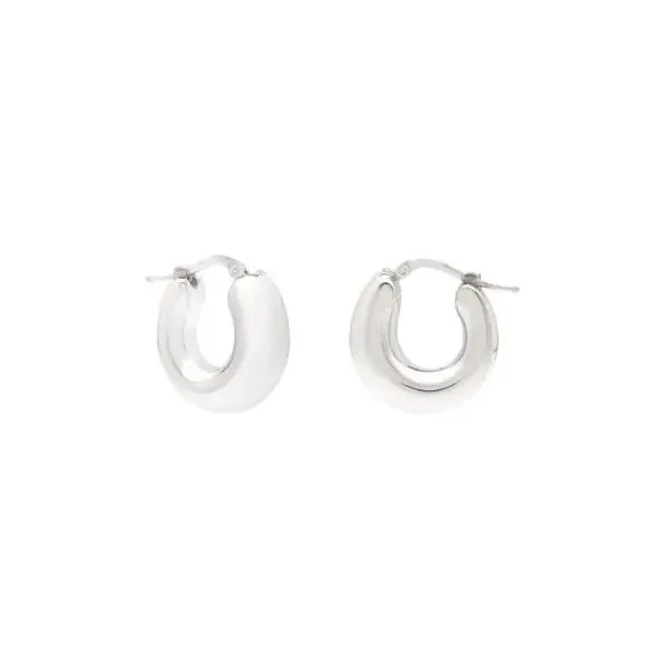 Silver Earrings similar item image