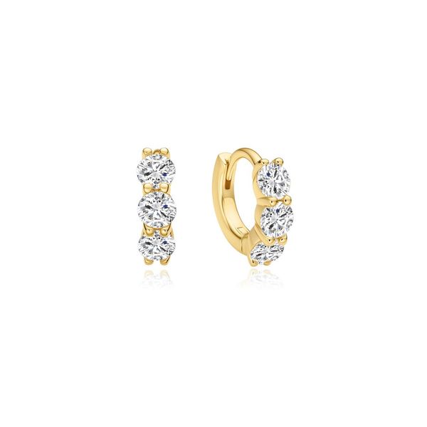 Silver Earrings Miner's Den Jewelers Royal Oak, MI