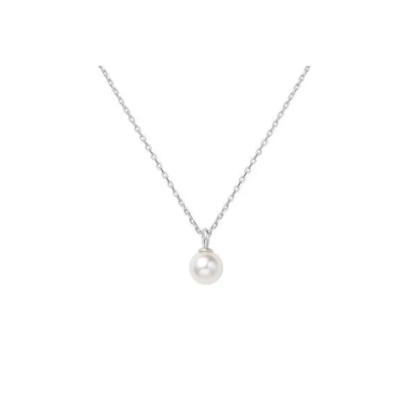 Silver Necklace