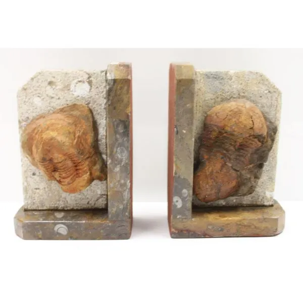 Fossil Book End Approx. 6" Miner's Den Jewelers Royal Oak, MI