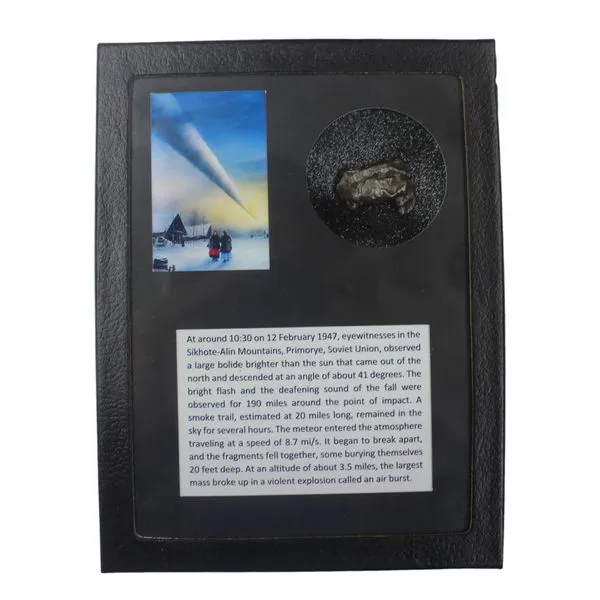 Meteorite Specimen Miner's Den Jewelers Royal Oak, MI