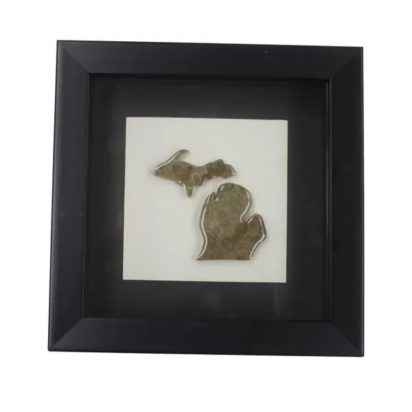 State of Michigan Framed Petoskey Stone - 6x6
