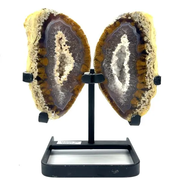 Brazilian Agate Geode Butterfly Specimen Miner's Den Jewelers Royal Oak, MI